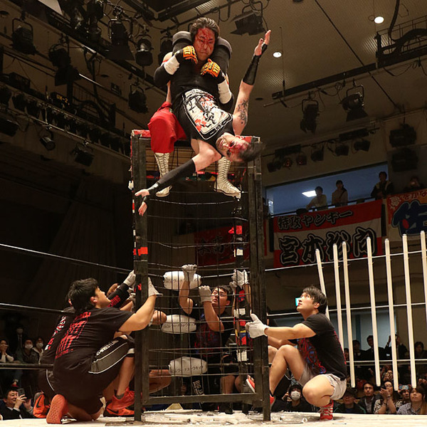 ハボック激勝 満身創痍の宮本はブロック突破に足踏み