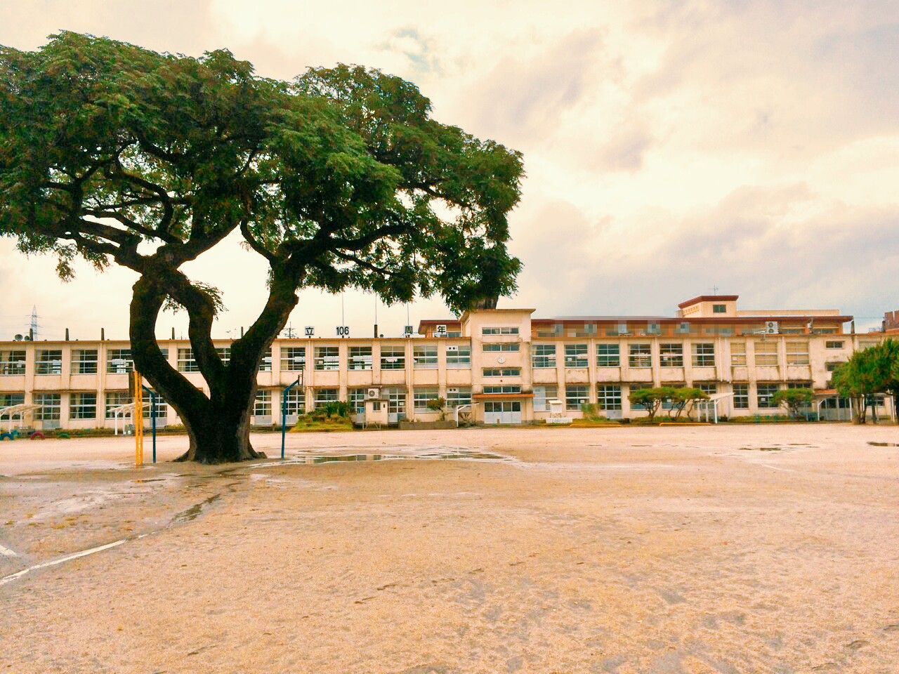 巷で噂のイケメンレスラー•飯伏幸太はどうやってクレイジーなレスラーになったか?【小学生編】