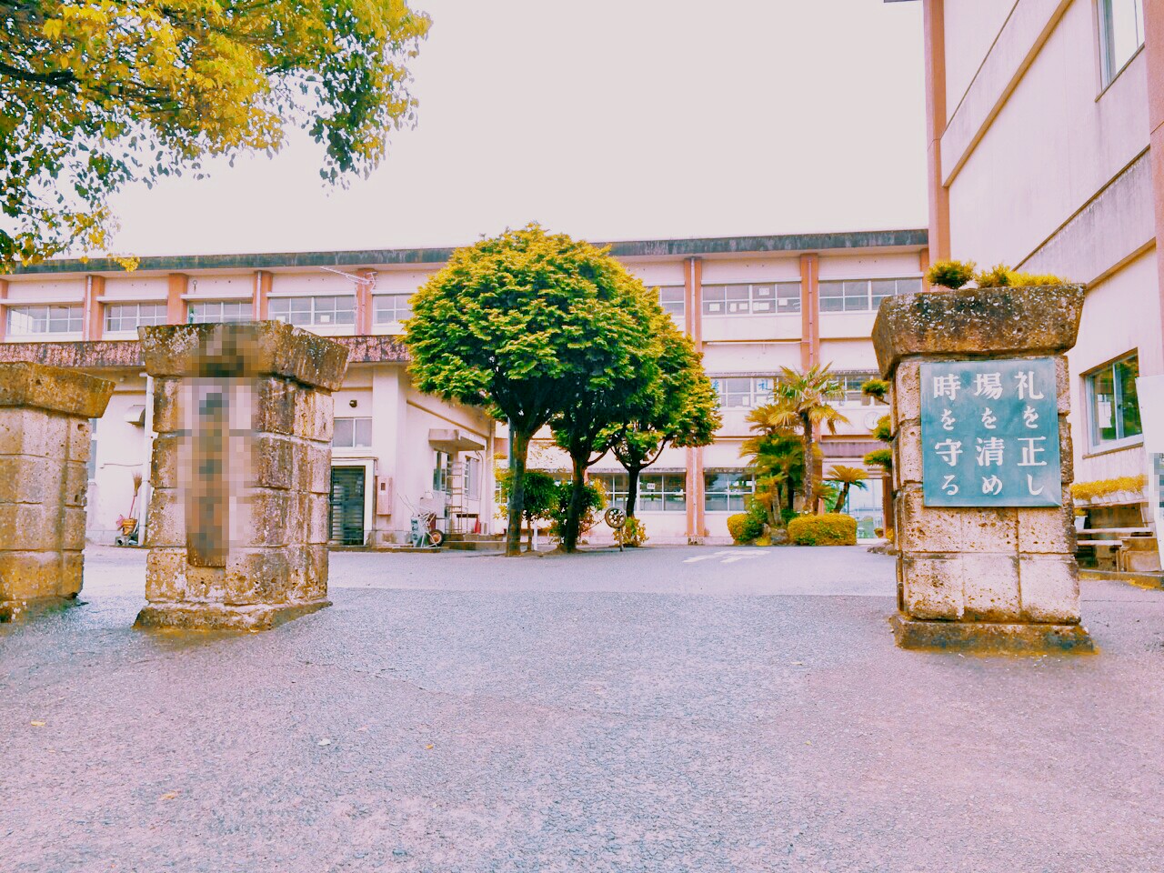 巷で噂のイケメンレスラー•飯伏幸太はどうやってクレイジーなレスラーになったか?【中学生編】