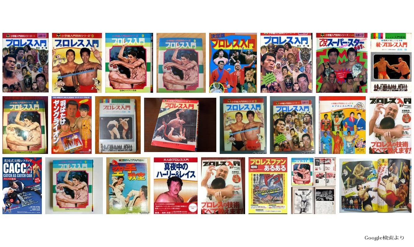 ぼくのあなたのプロレス入門【多重ロマンチック的ぼくらのプロレス】