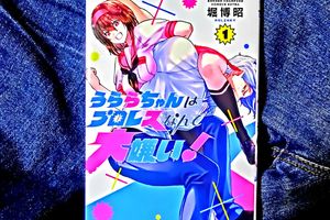 兄妹ハイスパートプロレスごっこ「うららちゃんはプロレスなんて大嫌い!」【多重ロマンチック的ぼくらのプロレス】