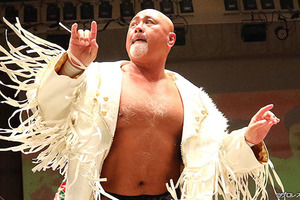 ああ、うるわしの闘魂Vスペシャル【多重ロマンチック的ぼくらのプロレス】